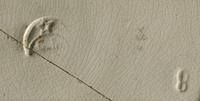 foto - iw-bor-2 - Zwo-Kra05-22-242