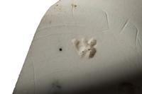 foto - iw-kop-2 - Zwo-Kra05-22-1110