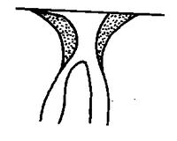 tekening - w-kan-18 - 89LUT AQ
