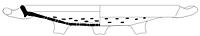 tekening - r-lek-7 - ARNM-11V495.75