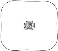 tekening - iw-dek-2 - Zwo13Pan10-8-307-1b
