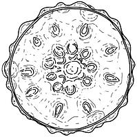 tekening - gl-bek-15b - 91wor-3-83