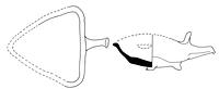 tekening - w-kmf-13 - Eil30 550