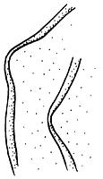 tekening - w-oli-2 - 91wor-65-7
