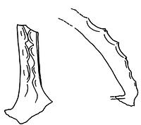 tekening - r-onb - OH-LV-10