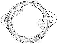 tekening - r-kmf-2 - Alk97-92LAN-BP2 FU