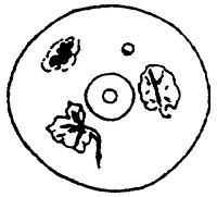 tekening - ir-dek-2 - Alk97-92LAN-BP2 GB