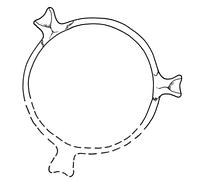 tekening - r-kop-41 - GRO2-17