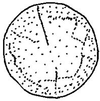 tekening - f-zal - Alk97-92LAN-BP2 IO