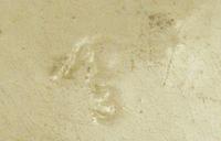 foto - iw-bor-9 - 320.556