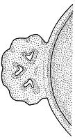 tekening - f-kom-10 - Alk97-93LAN-BP2 AO