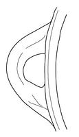 tekening - r-kom-42 - Nld16.024