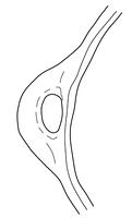 tekening - r-kom-42 - Nld16.01645-AWG1.2