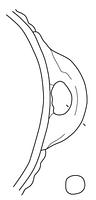 tekening - r-kom-92 - Nld16.02440-AWG1.198