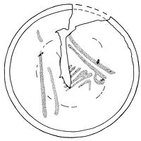 tekening - r-bor-10 - Alk98-91WOR-19-1