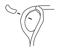 tekening - bg-pot-3 - vnr. 6469