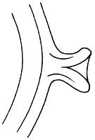 tekening - r-gra-17 - 10-17a