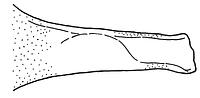 tekening - r-bak-16 - Alk97-93LAN-BP2 AT