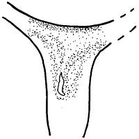 tekening - r-kan-11 - Bl88-105 - 12