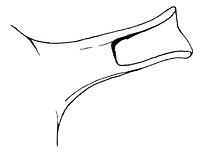 tekening - r-stk-10 - Kok87 - 3 / 6 -78