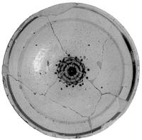 foto - f-bor-4 - Kok87 - 3 / 6 - 8