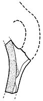 tekening - r-kom - 91WOR-59