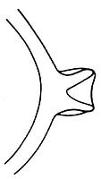 tekening - r-kop-5 - 10-66