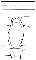 tekening - r-gra-65 - 11-79