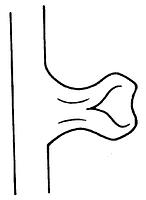 tekening - r-tes-2 - 10-21