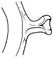 tekening - w-gra-19 - 11-118