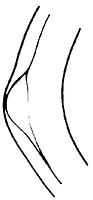 tekening - w-gra-7 - 11-119