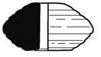 tekening - pi-spi-2 - 11 SMR2 - 1469-66