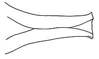 tekening - r-bak-5 - Alk98-92WOR-BP4 A