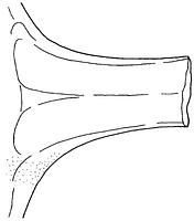 tekening - r-bak-2 - Amf94-Hof91-433-A 132