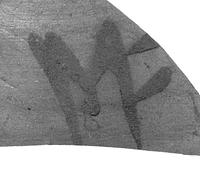 foto - s2-fle - 305, TL 9-1-1