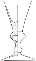 tekening - gl-kel-8 - Dev89-50-10