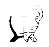tekening - w-min - 136, DDT 23-1096-40