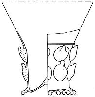tekening - gl-ber-1 - Dev89-50-11