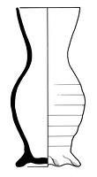 tekening - s1-tre-7 - VENO-02 - 356-58