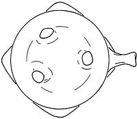 tekening - r-tes-1 - Dha95-3, bkh91-35.14