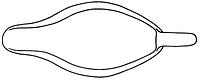 tekening - iw-jus-1 - Dha95-6, ann91-81.44