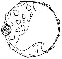 tekening - gl-bek-15b - Dha95-4B, ann91-209.58
