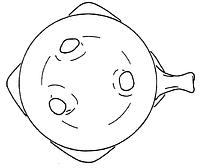 tekening - w-tes-3 - Dha96-14