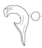 tekening - r-gra-28 - ZIEE objctnr.: 4037
