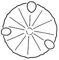 tekening - gl-bek-50 - Dha96-14