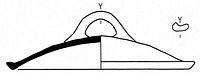tekening - w-dek-8 - Dha96-9B