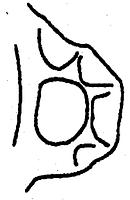tekening - w-kop-30 - Dha96-8.