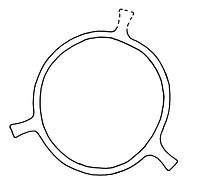 tekening - r-kop-2 - Haa97-96BGHBPIB