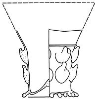 tekening - gl-ber-1 - Kam90-Me89-2 133