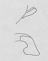 tekening - r-onb - BA-47
